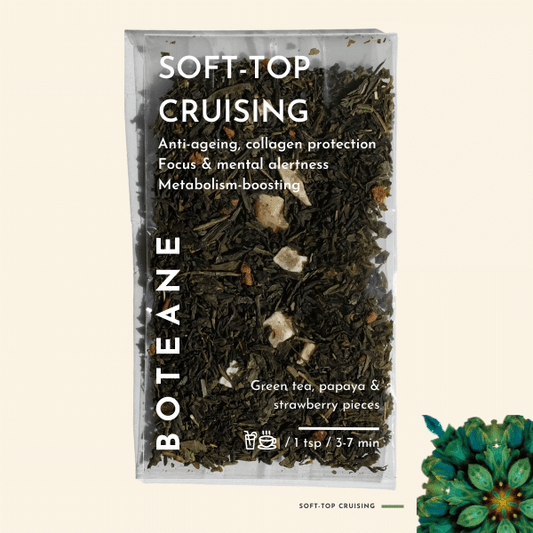 Croisière à toit souple. Détails ->