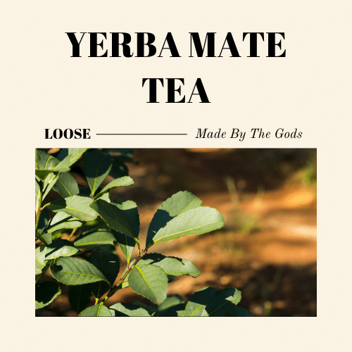 Yerba Mate Tea