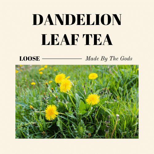 Dandelion Leaf Tea. Details ->