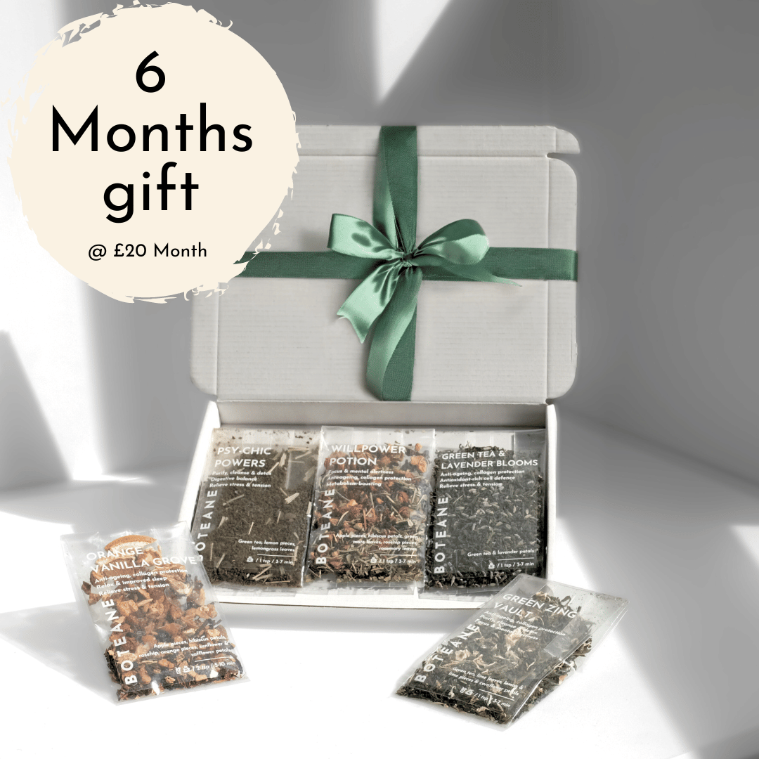 6 Month Gift Box