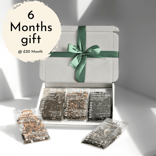 6 Month Gift Box