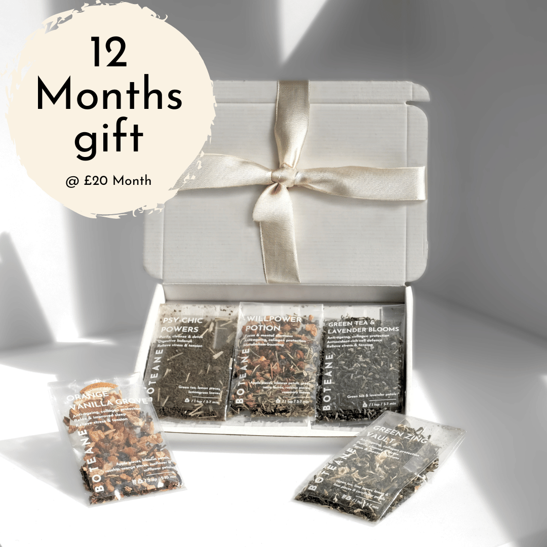 12 Month Gift Box