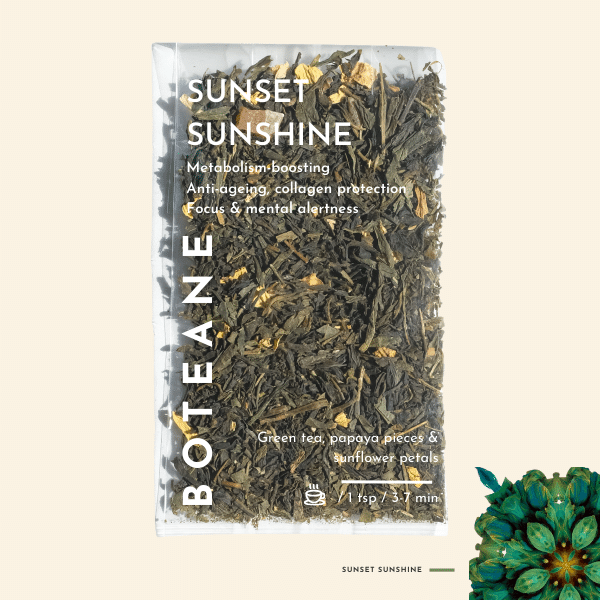 Soleil au coucher du soleil. Détails ->