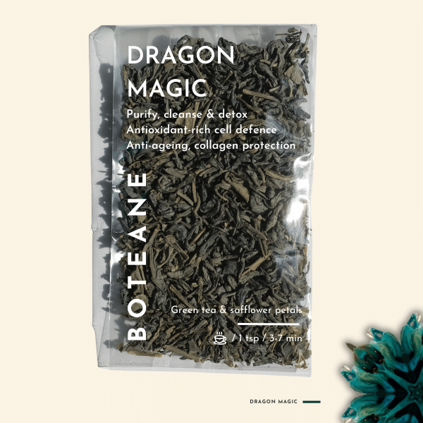 Magie du Dragon. Détails ->