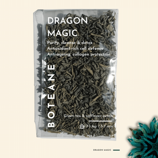 Magie du Dragon. Détails ->