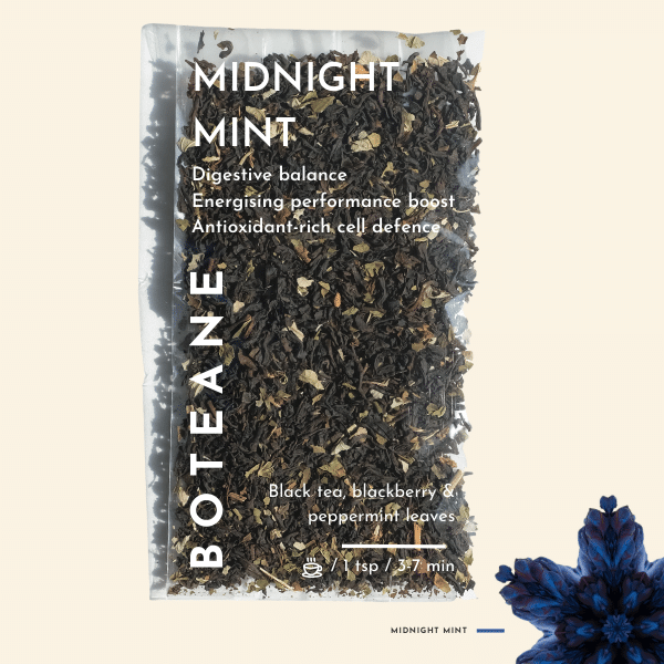 Menthe de minuit. Détails ->