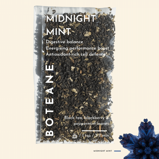 Menthe de minuit. Détails ->