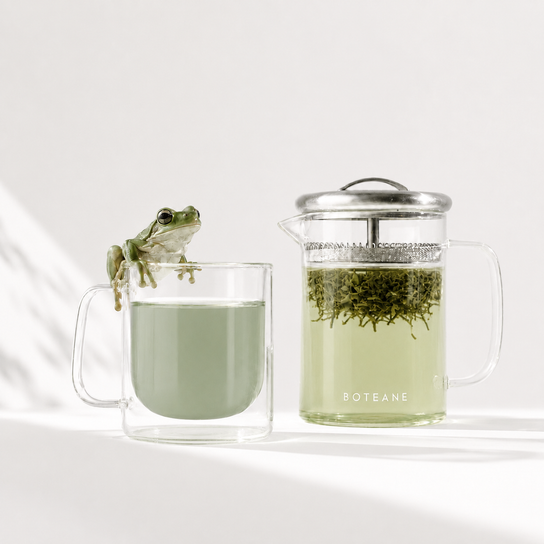 Fairtrade certified loose-leaf tea — Boteane glass teapot with green tea brewing