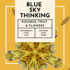 Blue Sky Thinking