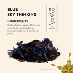 Blue Sky Thinking