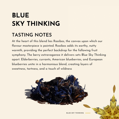 Blue Sky Thinking. Details ->