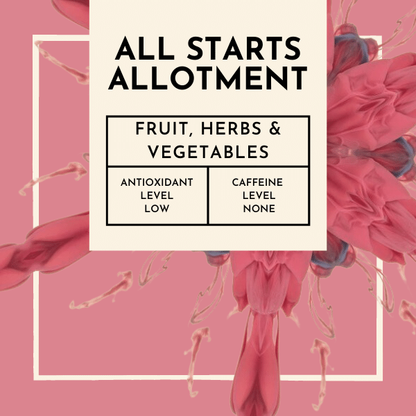 All Stars Allotment Tea. This exceptional blend is a symphony of taste, carefully crafted to offer a nutrient-packed, vitamin-rich brew that truly shines in every cup. Delight in the vibrant notes of freshly picked apples, their crisp sweetness infusing the infusion with a delightful 