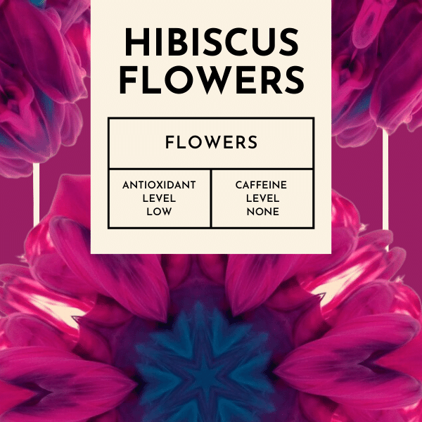 Hibiscus Flowers