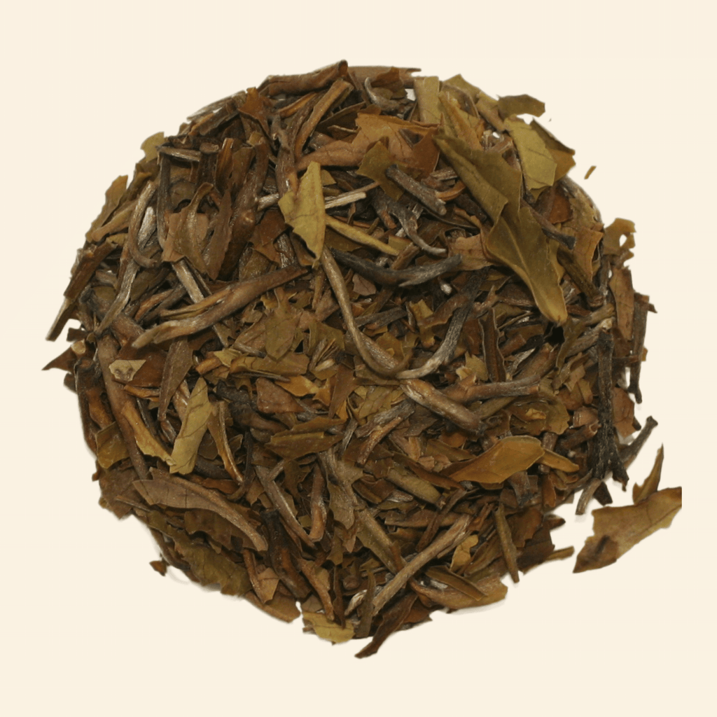Smooth & Gentle. Sencha Green Tea