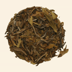 Smooth & Gentle. Sencha Green Tea