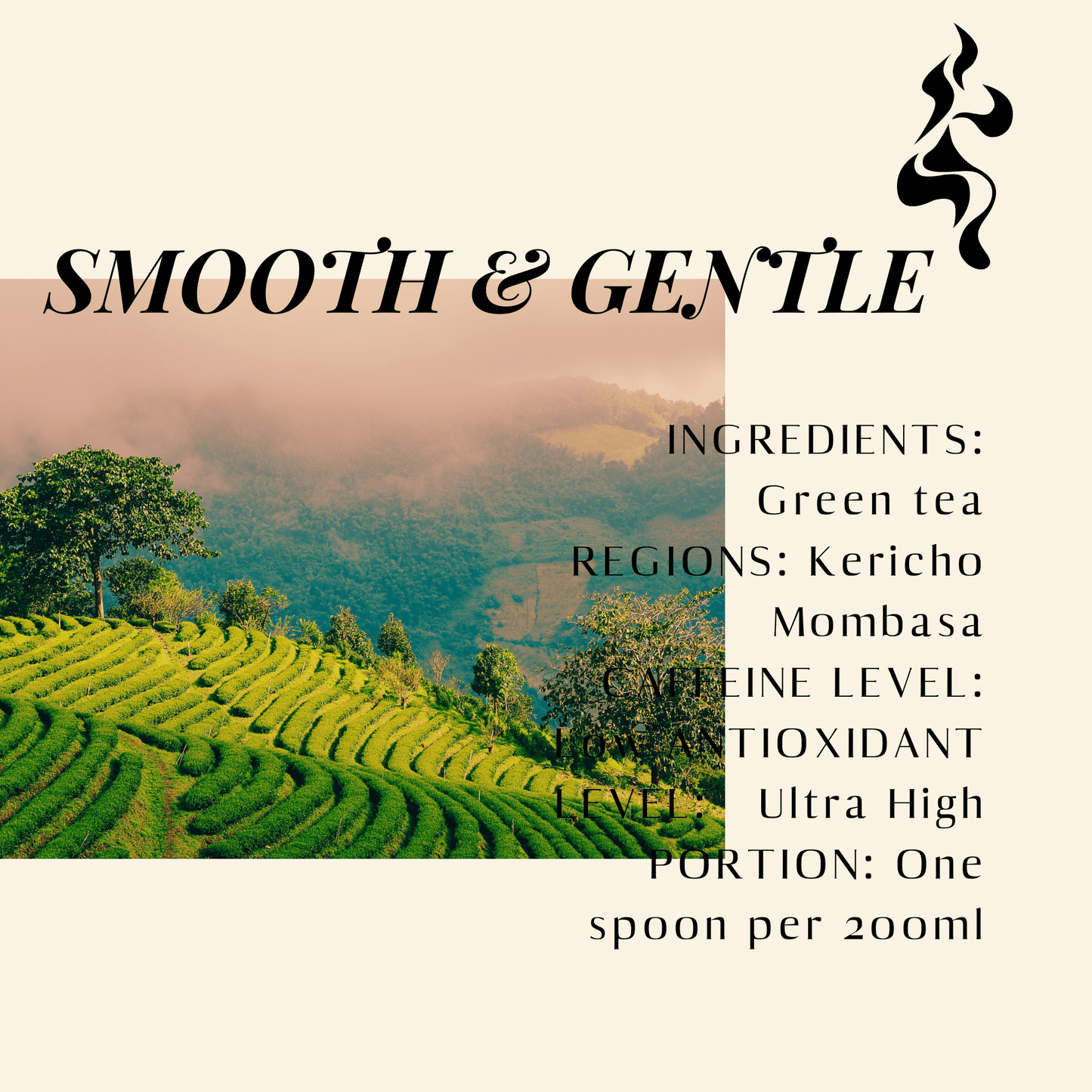 Smooth & Gentle. Sencha Green Tea. Details ->