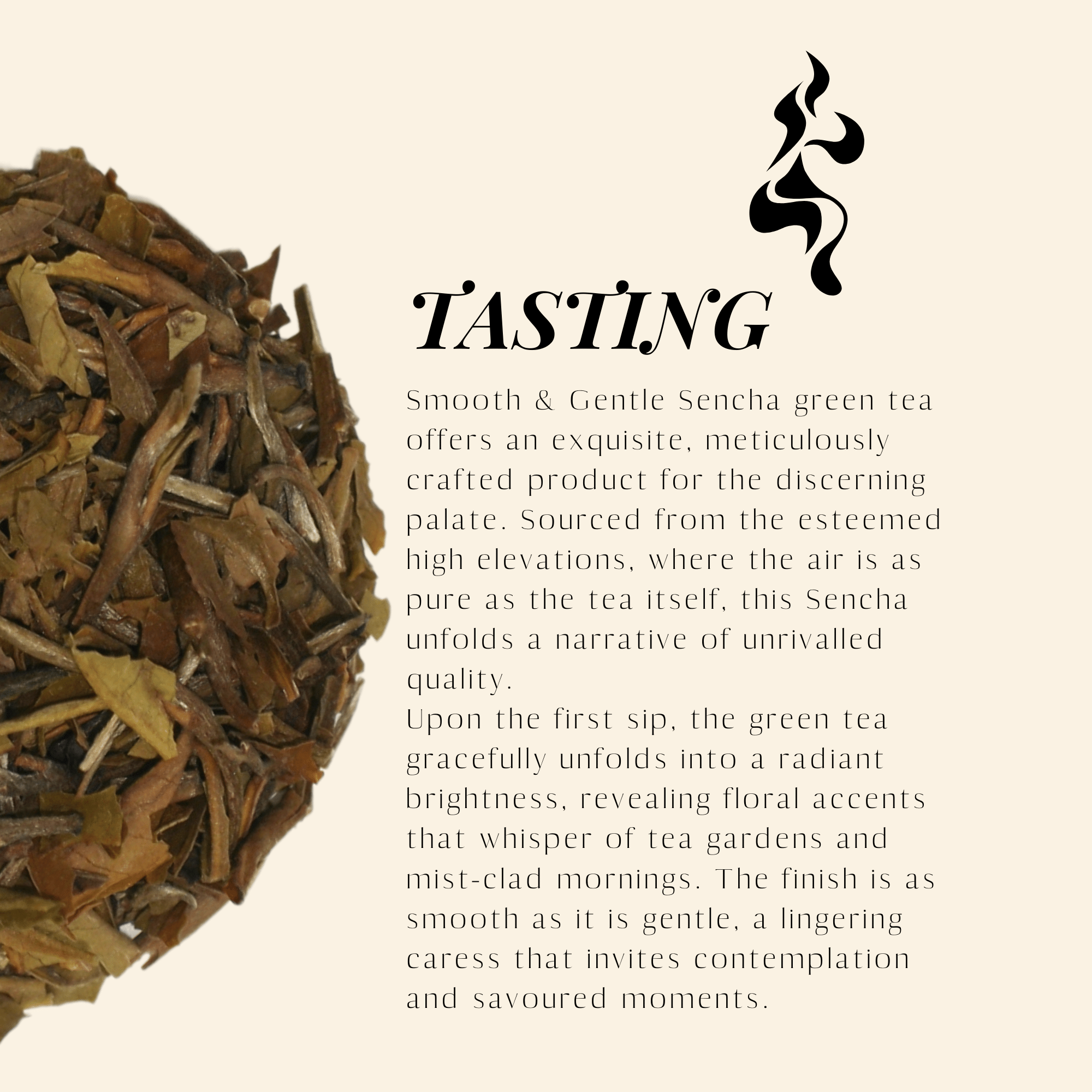 Smooth & Gentle. Sencha Green Tea