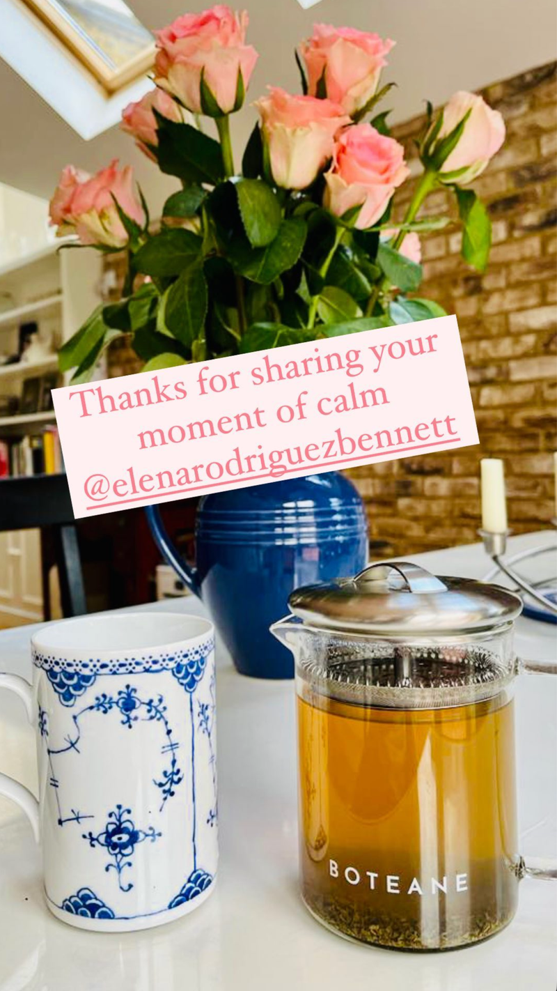 Customer review from Elena