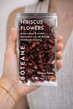 Hibiscus Flowers