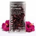 Hibiscus Flowers