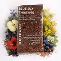 Blue Sky Thinking