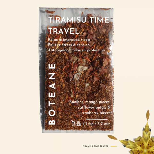 Tiramisu Time Travel