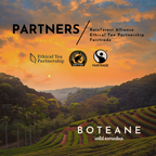 Self-Believer Party Streamers