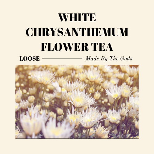 White Chrysanthemum Flower Tea
