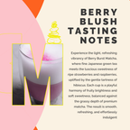 Berry Blush tasting notes with a cup of tea and geometric shapes on a colorful background