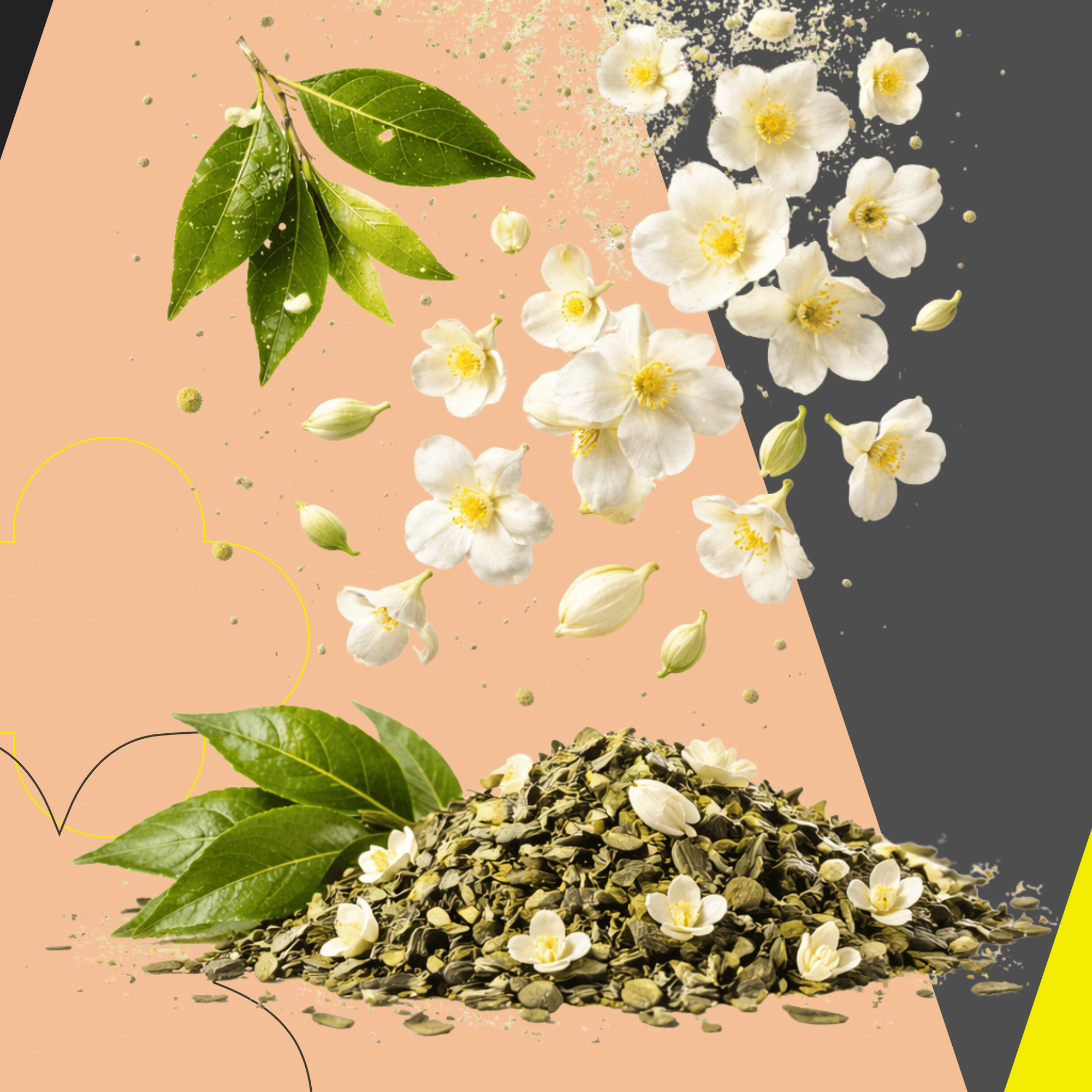 Jasmine Matcha