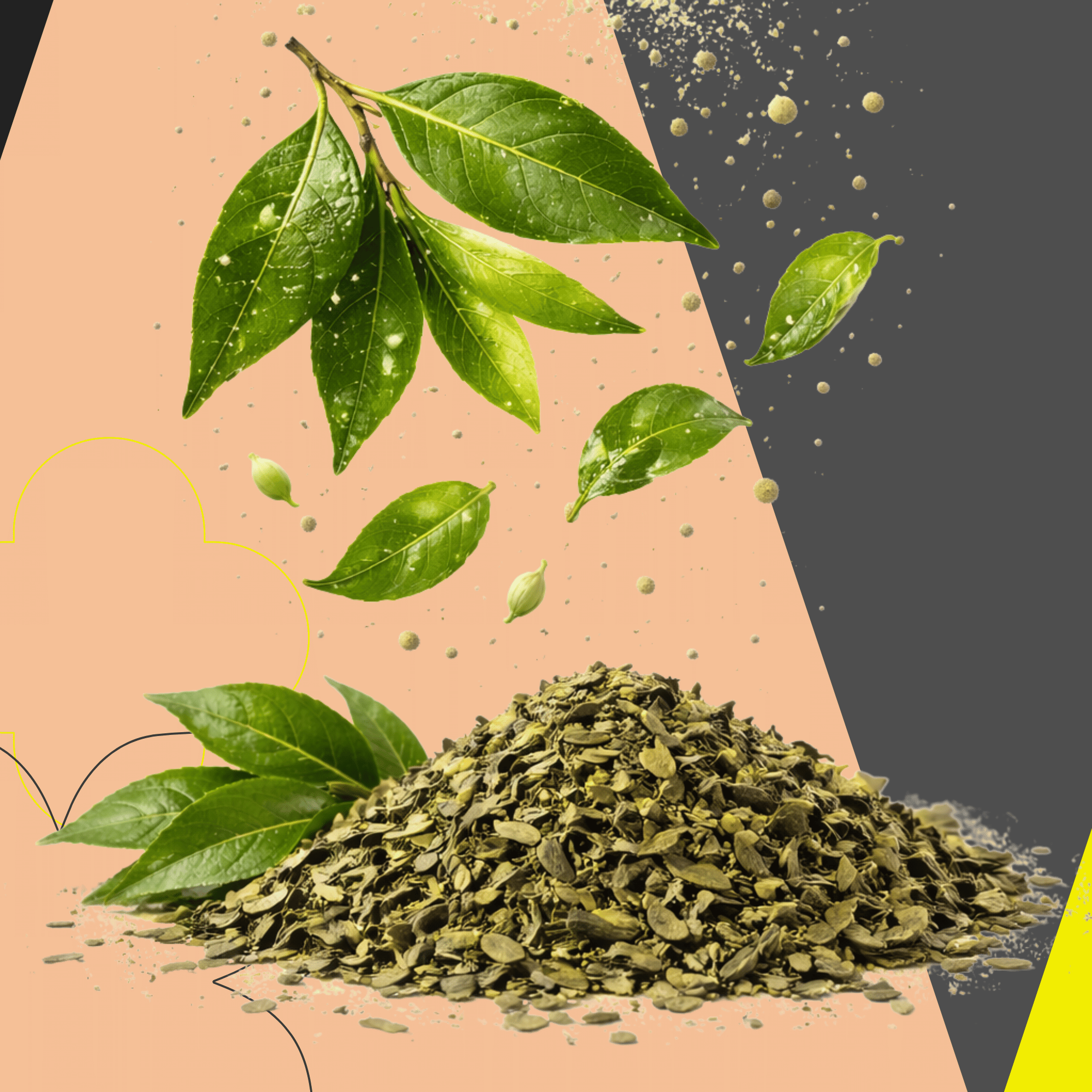 Izu Green Matcha